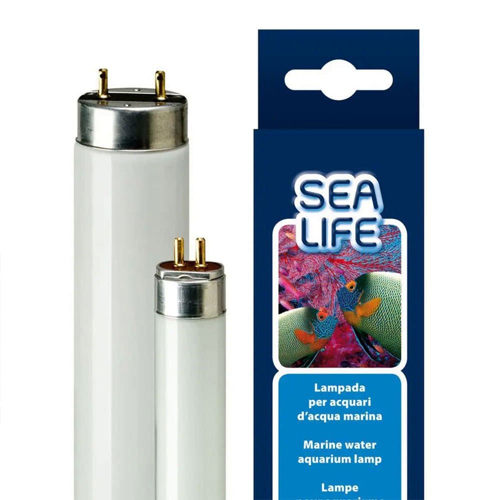 Product image for 14432