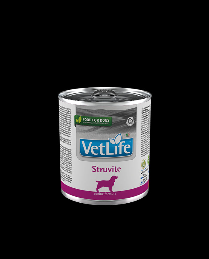 Product image for 13904