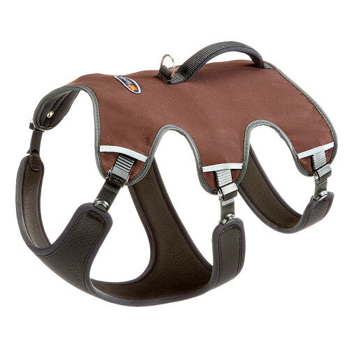 Product image for 15494