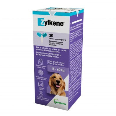 Product image for 10258