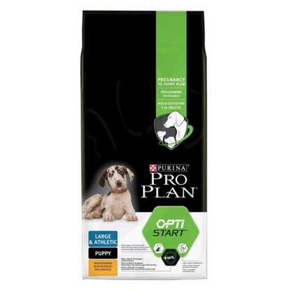 Product image for 11748