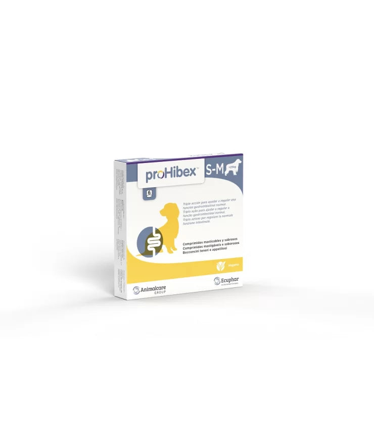 Product image for 13875