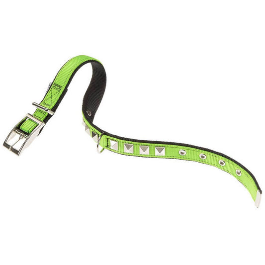 Product image for 14298