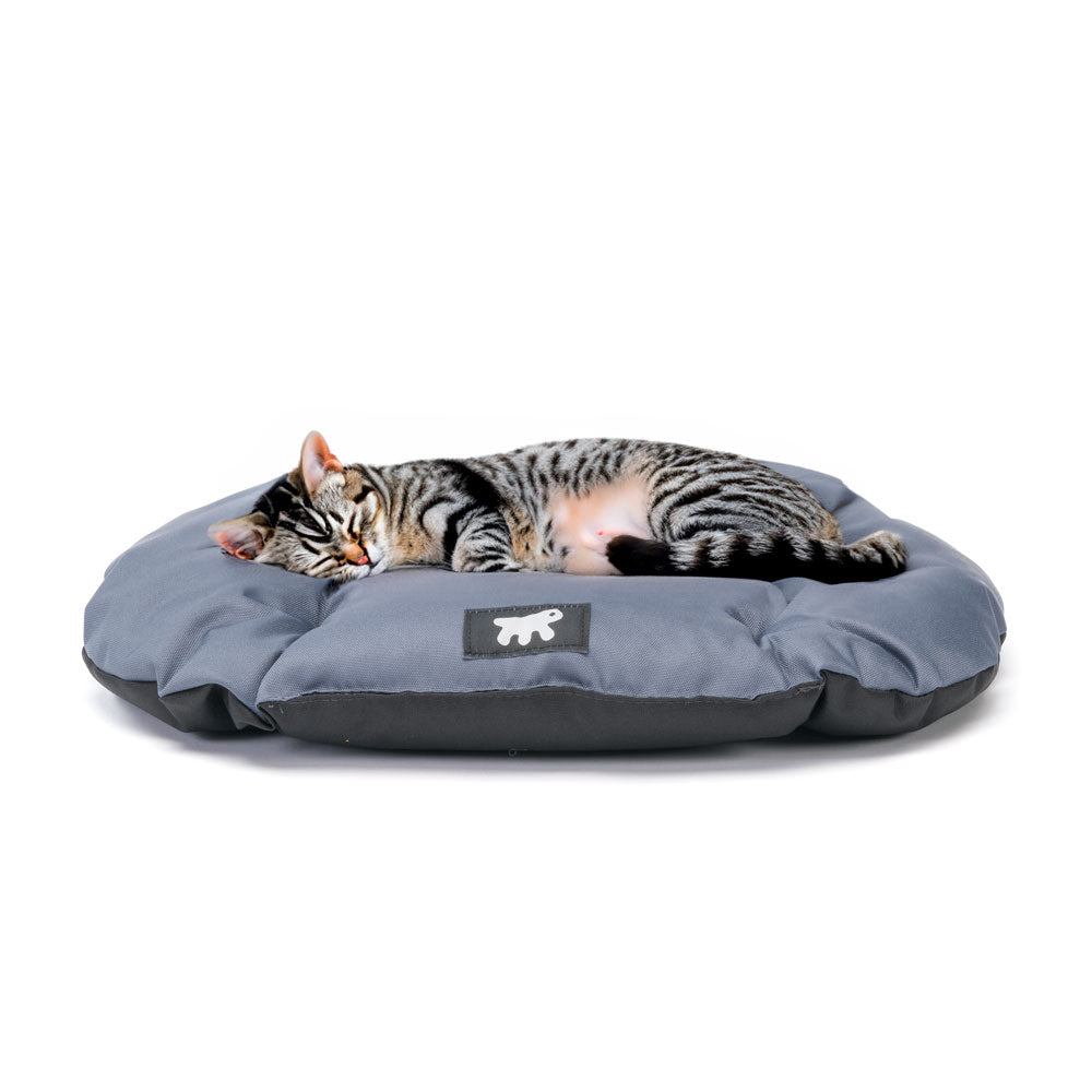 Product image for 15393