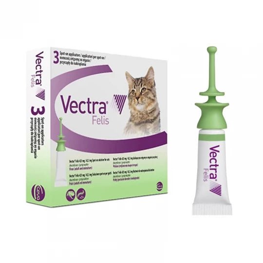 Product image for 19608