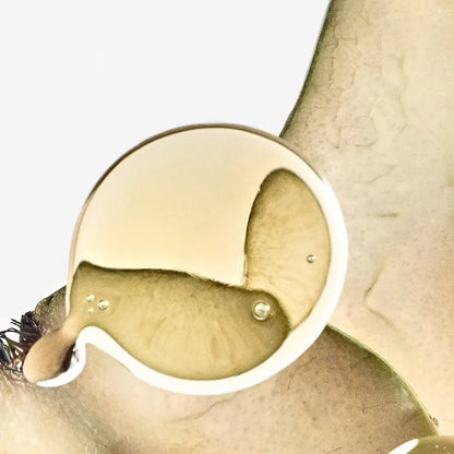 Loewe Solo Ella Elixir Edp Vapo 50 ml