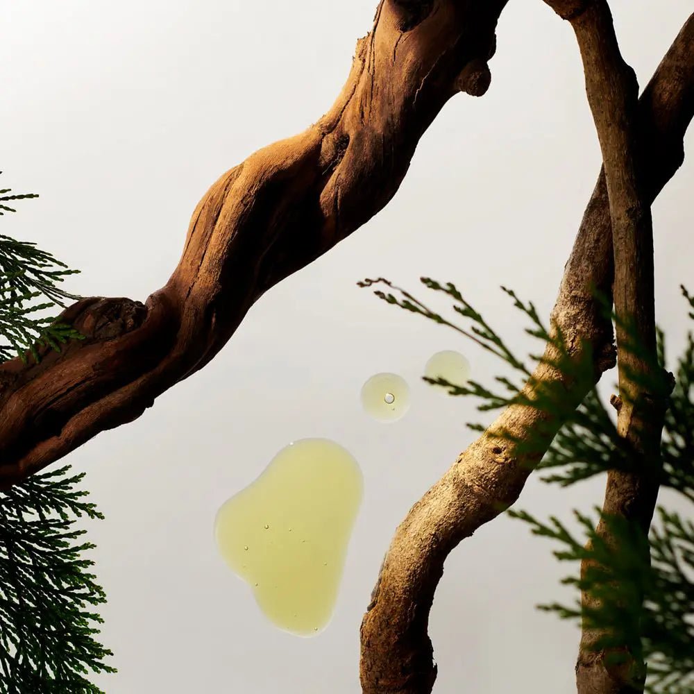 Rituals Homme Shower Foam 200 ml