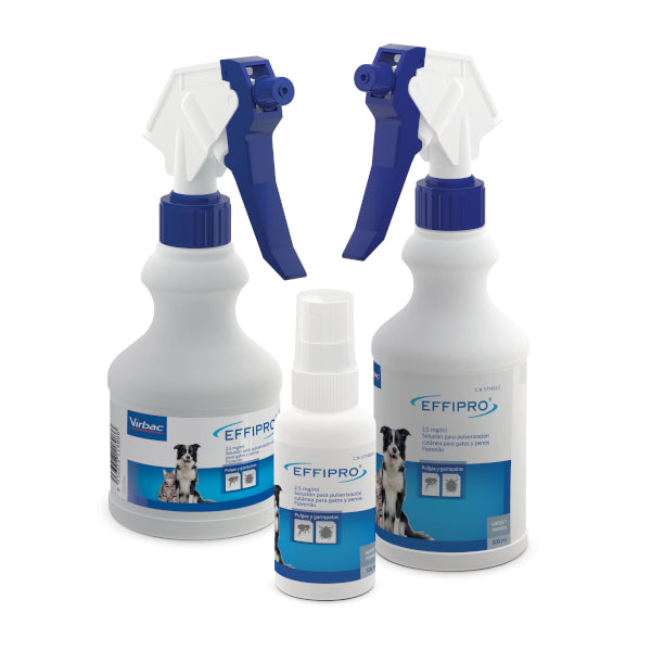 Product image for 19614