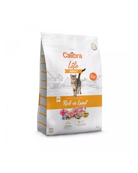 Product image for 13760