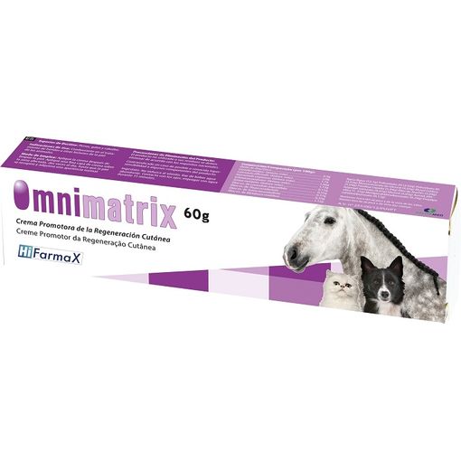 Product image for 9538