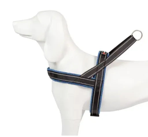 Product image for 11892