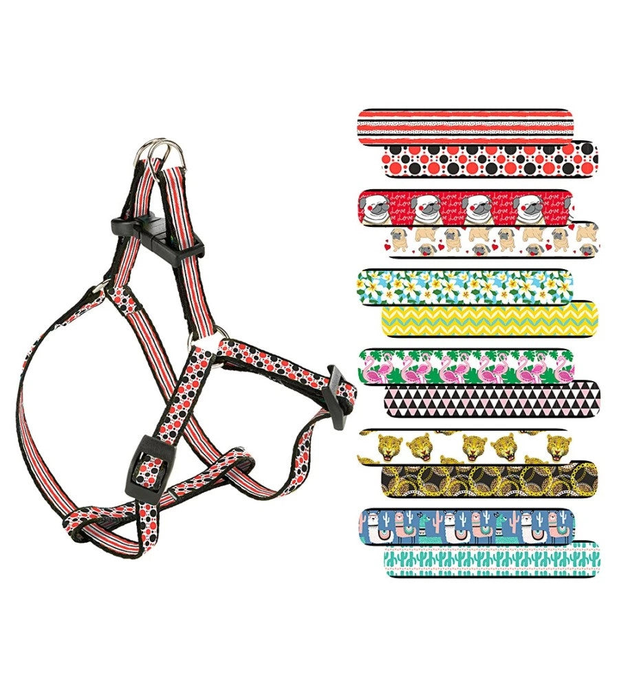 Product image for 14921