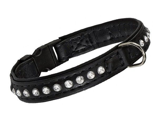 Product image for 14037