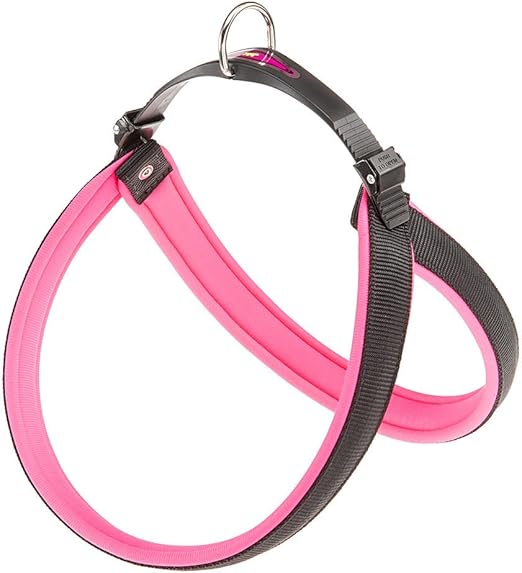 Product image for 15487