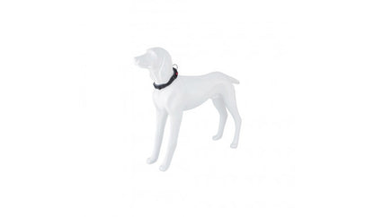 Product image for 16247
