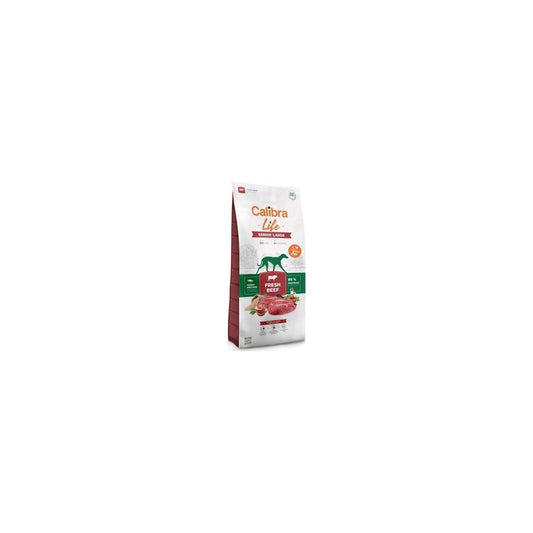 Product image for 13762