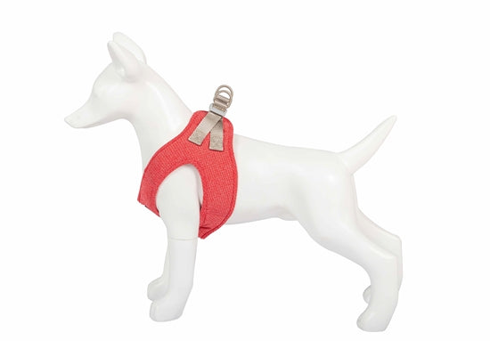 Product image for 16199