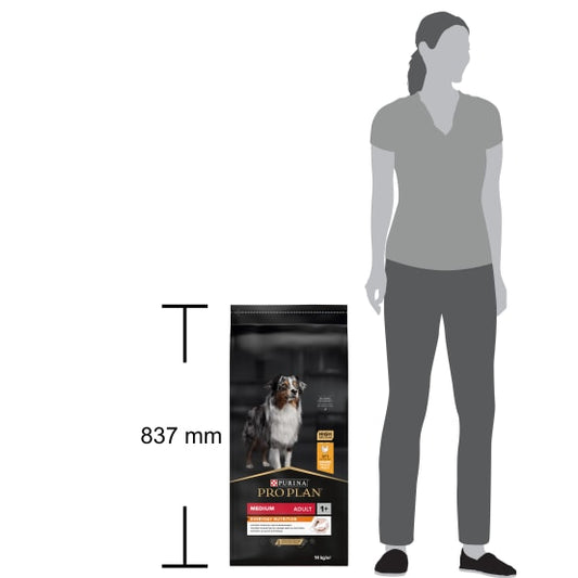 Product image for 10709