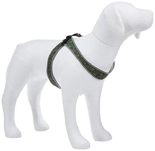 Product image for 15356