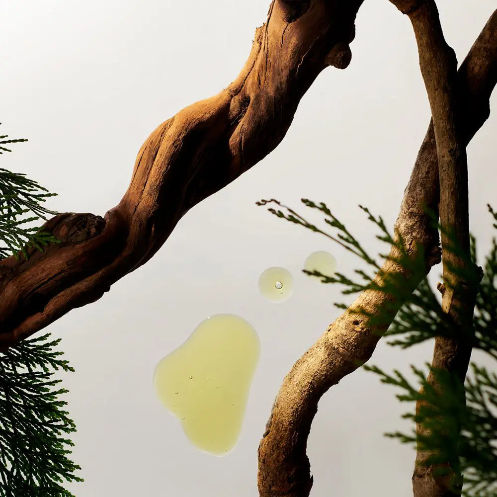 Rituals Homme Refill Car Air Freshener 2x3g