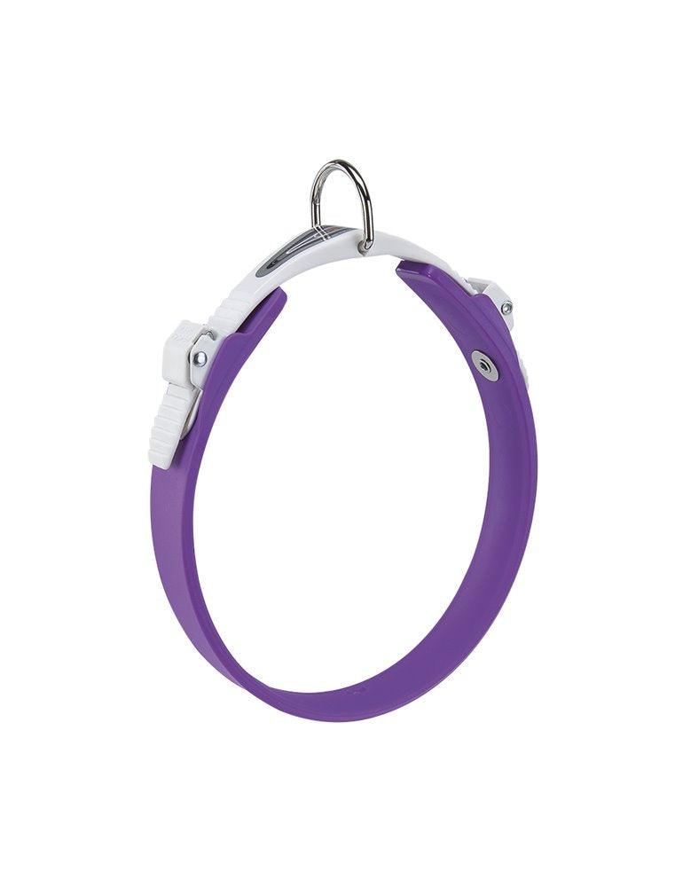 Product image for 14869
