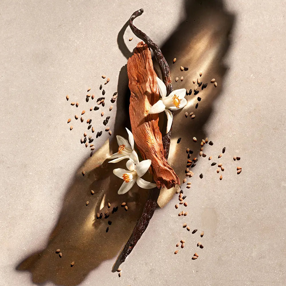 Zadig & Voltaire Zadig Edp Vapo 90 ml