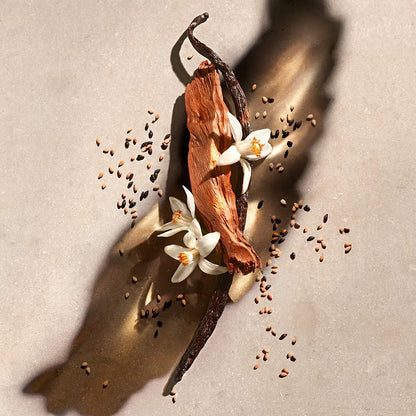 Zadig & Voltaire Zadig Edp Vapo 90 ml