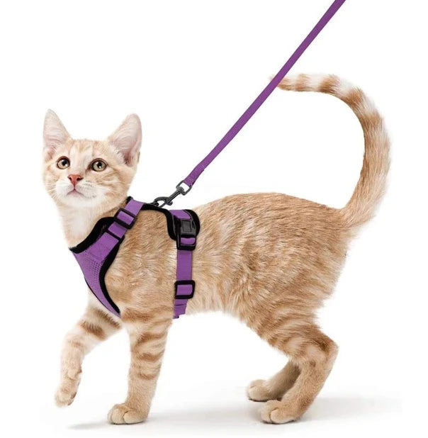 Product image for 14944