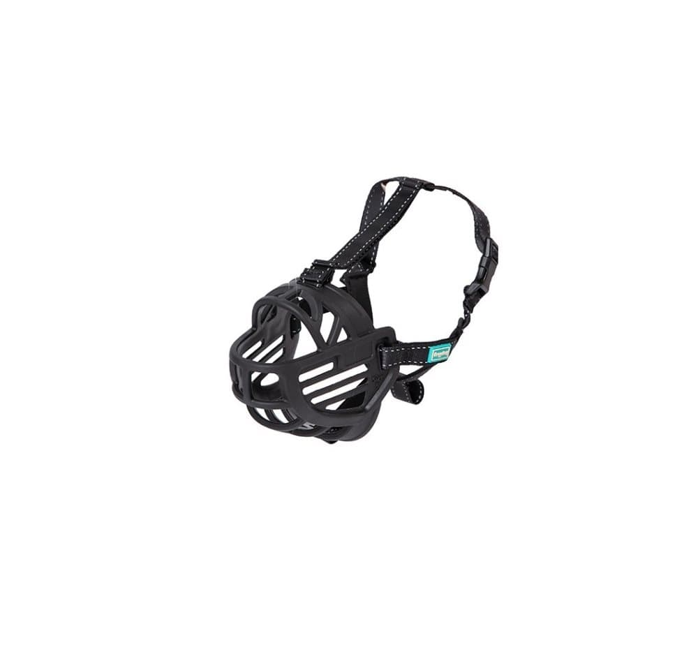 Product image for 16246