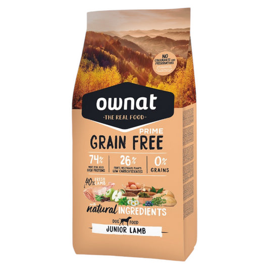 Product image for 11987