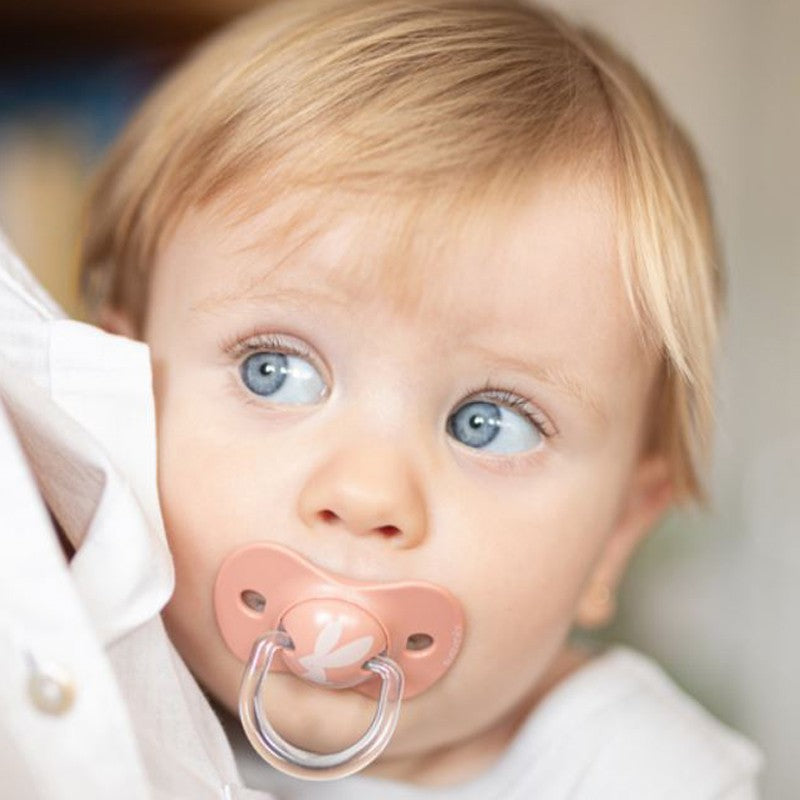 SUAVINEX Chupete SX Pro Tetina Fisiológica Silicona 6-18 Meses 2 Unidades (Zorro Gris)-2