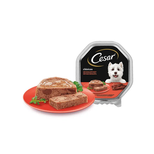Product image for 17021