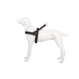 Product image for 11889
