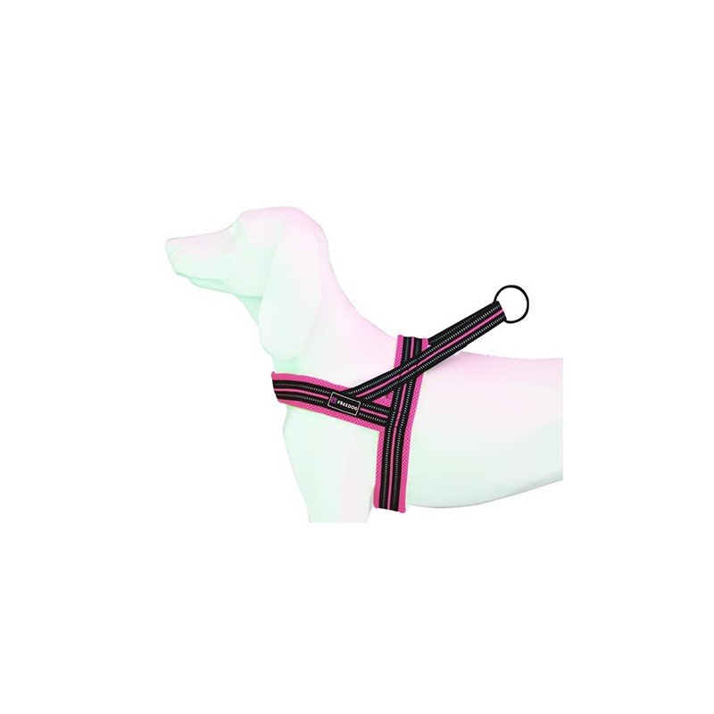 Product image for 11899