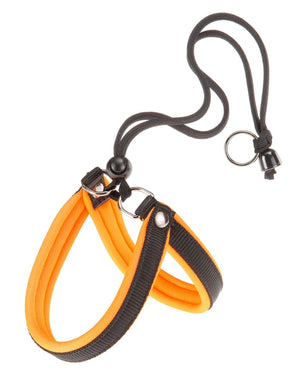Product image for 14698