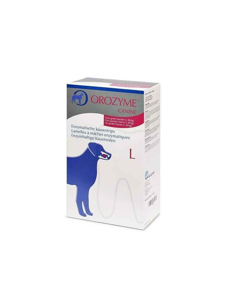 Product image for 10029
