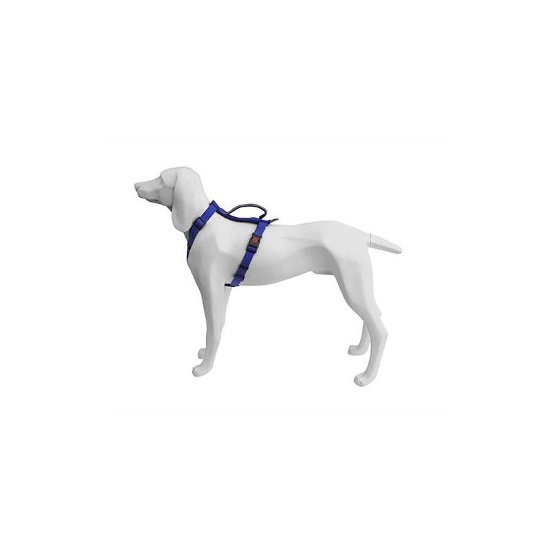 Product image for 16447