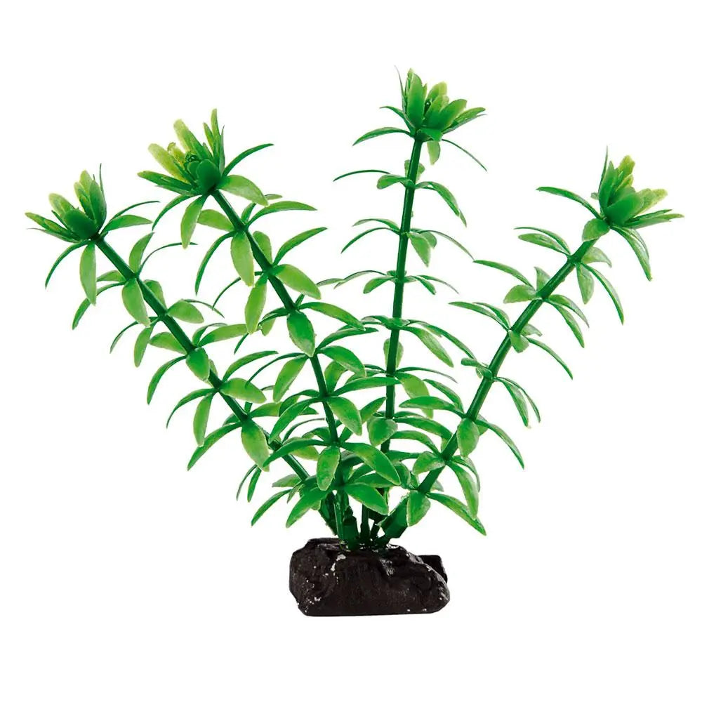 Product image for 13996