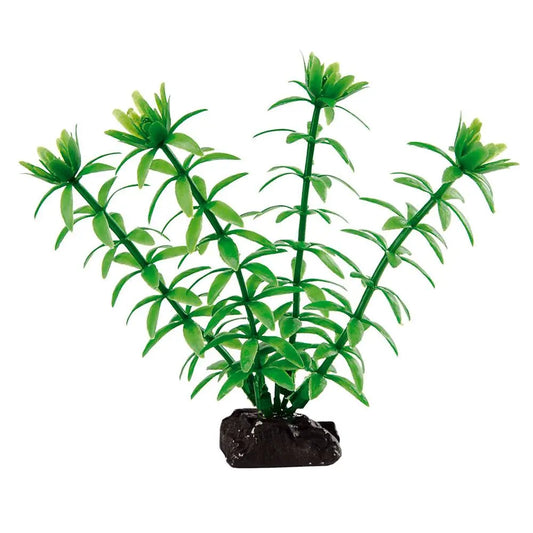 Product image for 13996
