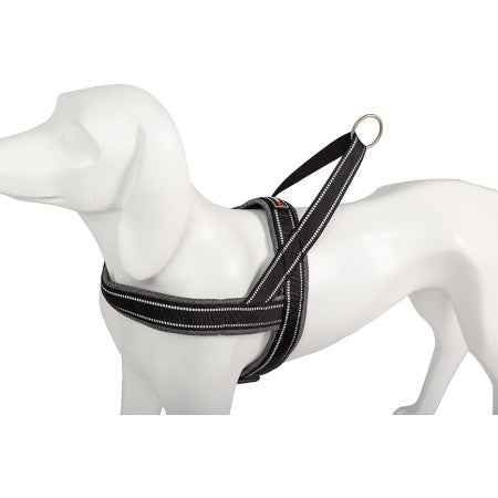 Product image for 16265