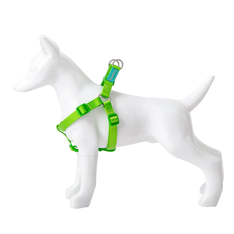 Product image for 15992