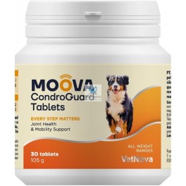 Product image for 16919