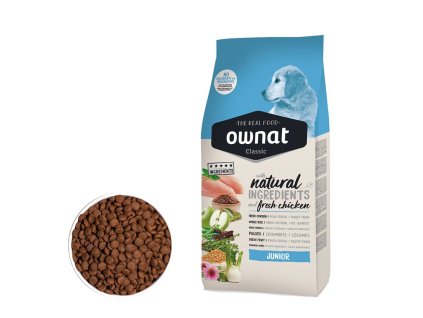 Product image for 11288