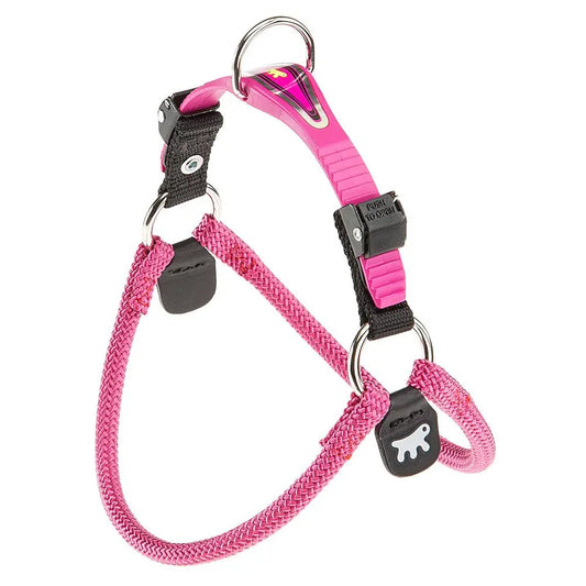 Product image for 15307
