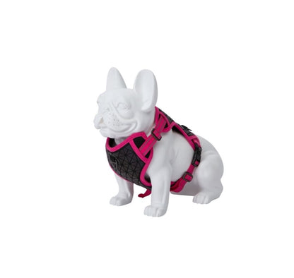 Product image for 16271