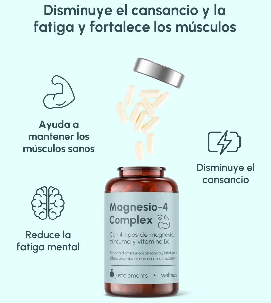 Product image for 20908