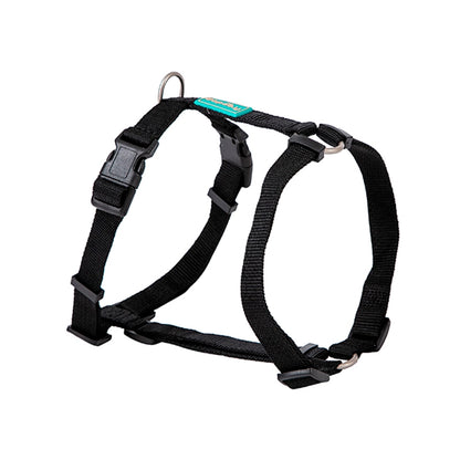 Product image for 11921