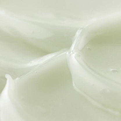 Product image for 19681