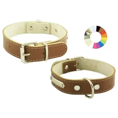 Product image for 17062