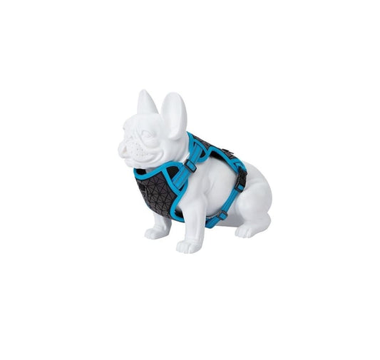 Product image for 16210